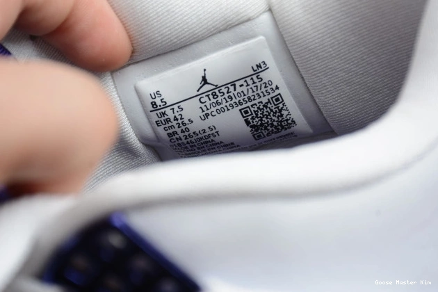 Purple Jordan Air Court CT8527-115 4 0606